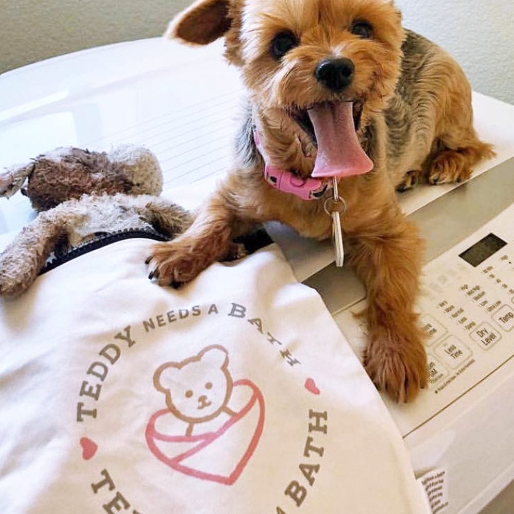 Teddy Needs a Bath Small Washer and Dryer Bag - 10"X15"